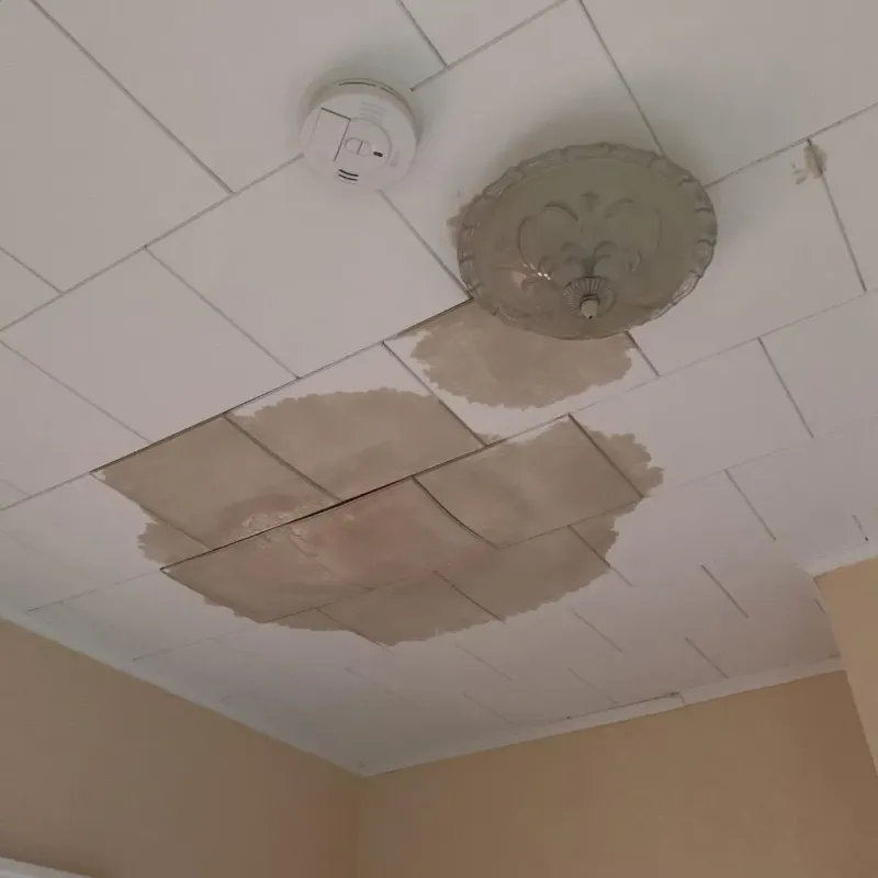 Ceiling Water Damage Repair in Rushmere, VA