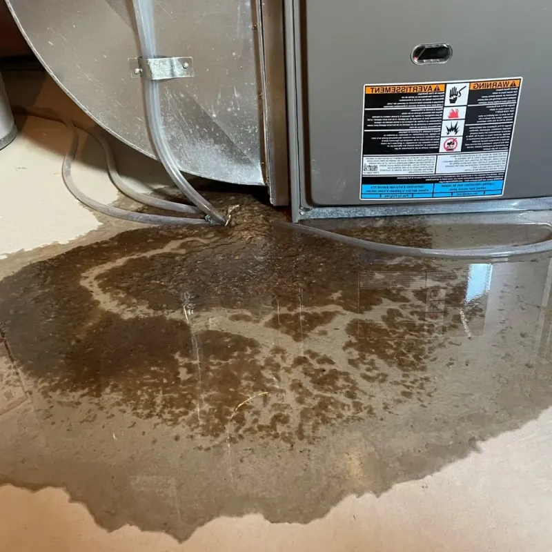 Pipe Burst and Leak Restoration in Rushmere, VA