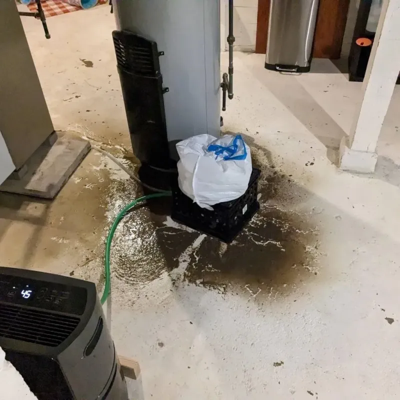 Sewage Backup Cleanup Service in Rushmere, VA